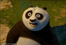 confused student kungfu panda